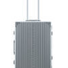 Vertical Overnight Carry-On 21&quot; Valise en platine 1