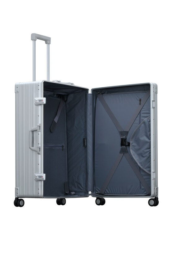 Vertical Overnight Carry-On 21&quot; Valise en platine